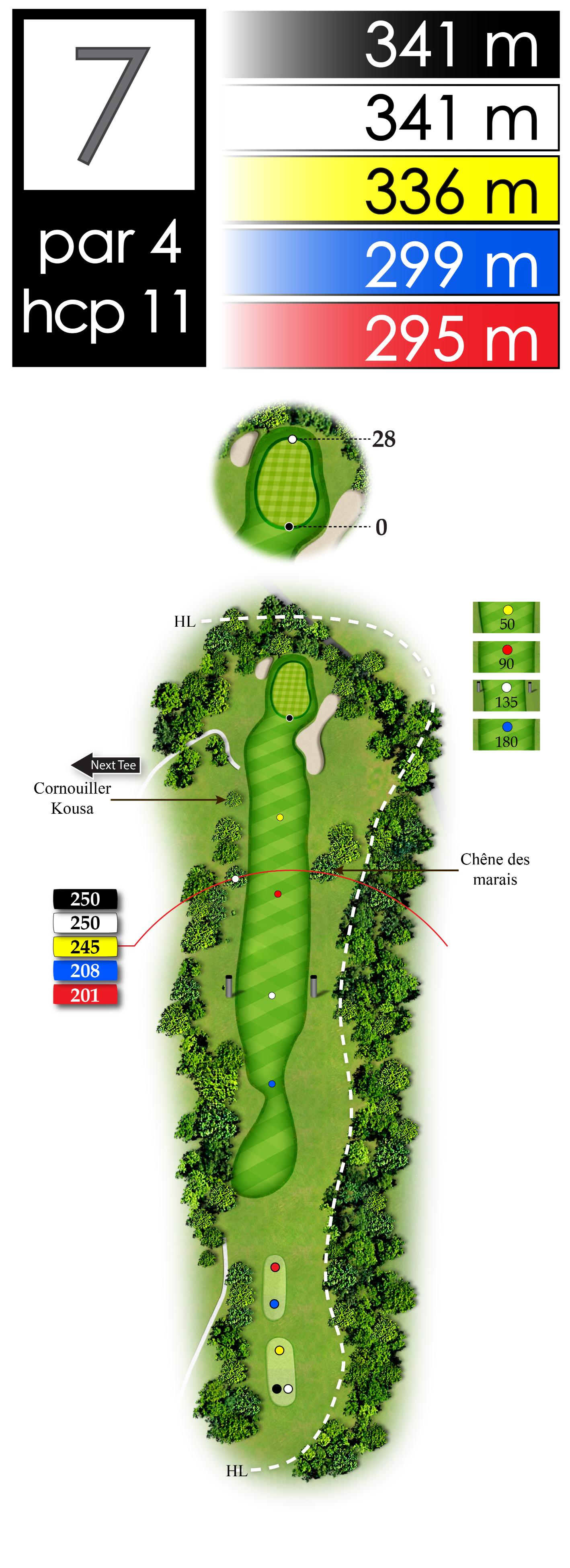 3D Golf Course Graphics