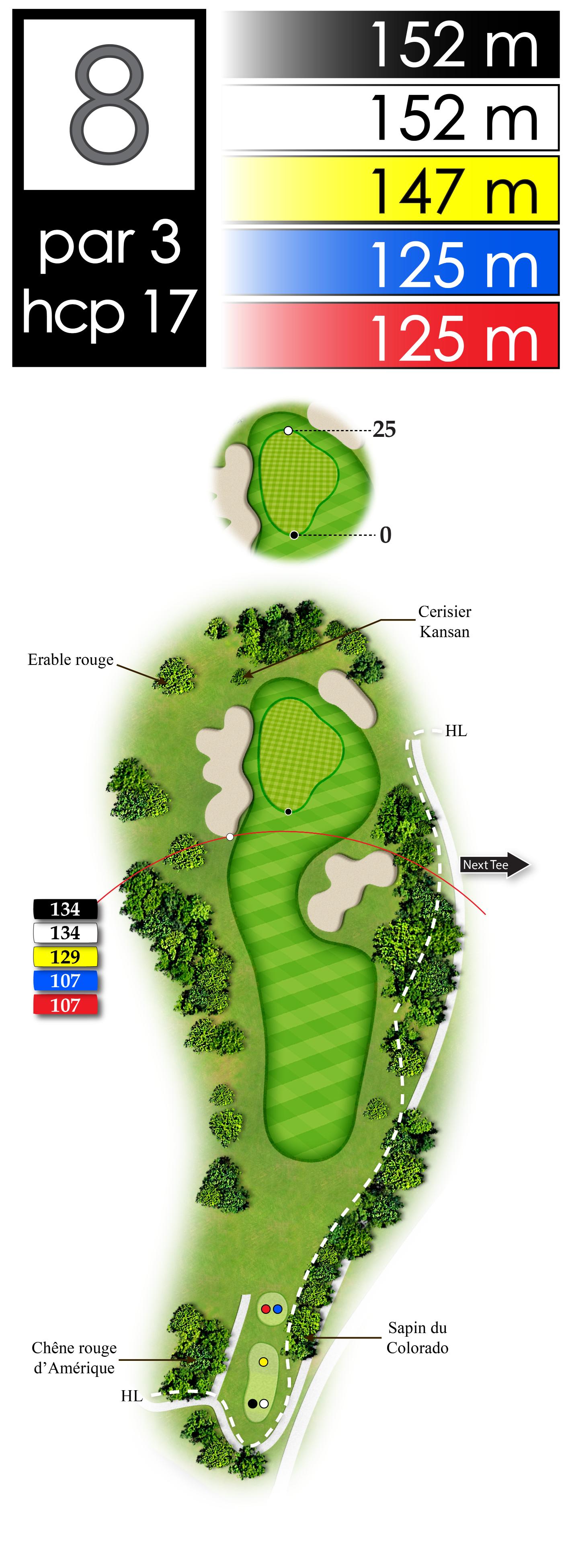3D Golf Course Graphics 